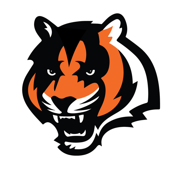 Cincinnati Bengals Heavy Metal Logo DIY iron on transfer (heat transfer)